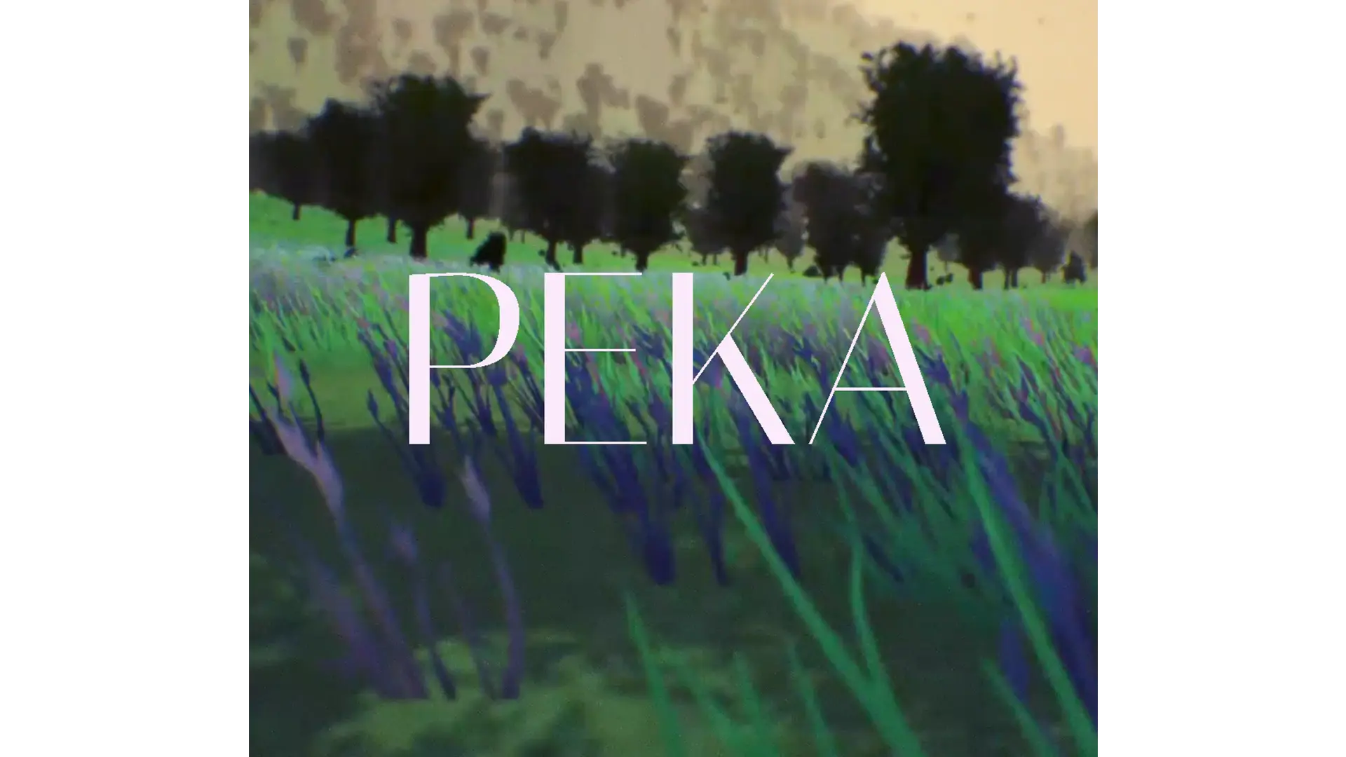 Image du projet Peka
